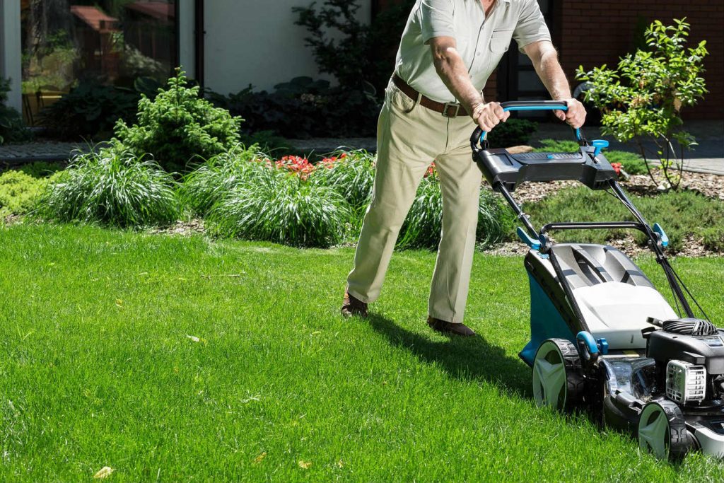 Lawn Care Services